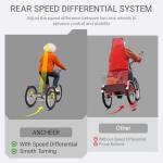 ANCHEER 350W Adult Electric Tricycle with Basket