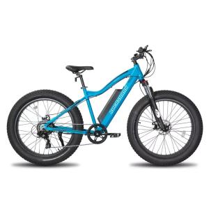 26" 4" Mountain Ebike for Snow and Sand