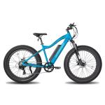 26" 4" Mountain Ebike for Snow and Sand