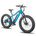 26" 4" Mountain Ebike for Snow and Sand