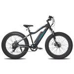26" 4" Mountain Ebike for Snow and Sand