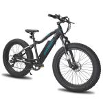 26" 4" Mountain Ebike for Snow and Sand