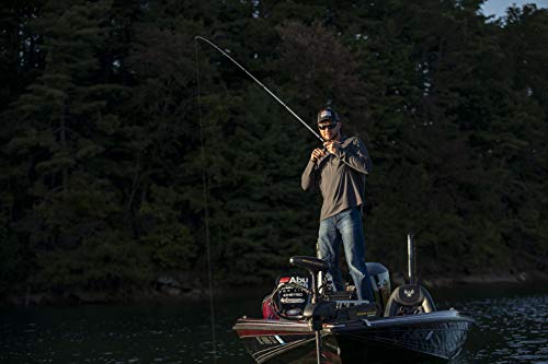 Abu Garcia Pro & Max Low Profile Baitcast Reel
