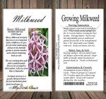 1,000 Showy Milkweed Seeds - Big Pack