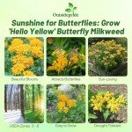 Hello Yellow Butterfly Milkweed: 50 Showy Garden Seeds