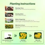 Hello Yellow Butterfly Milkweed: 50 Showy Garden Seeds