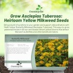 Hello Yellow Butterfly Milkweed: 50 Showy Garden Seeds