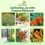 Tropical Milkweed Garden Flowers - 1000 Seeds