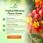 Tropical Milkweed Garden Flowers - 1000 Seeds
