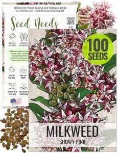 100 Showy Milkweed Seeds for Monarch Butterflies