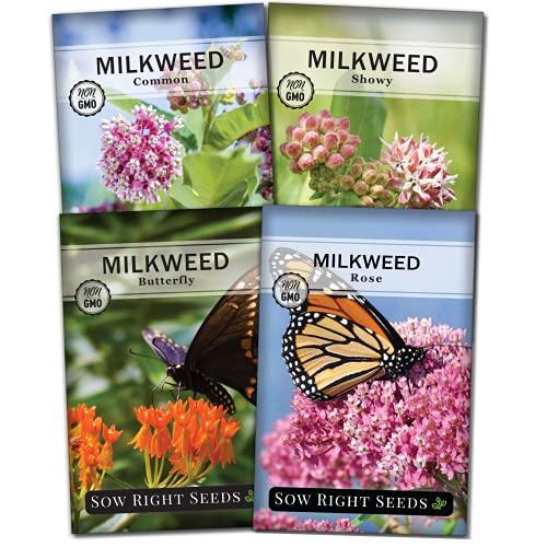 Butterfly Garden Seed Collection with Showy Milkweed