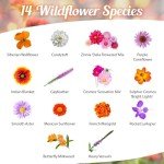 Monarch Butterfly Wildflower Seed Mix1oz