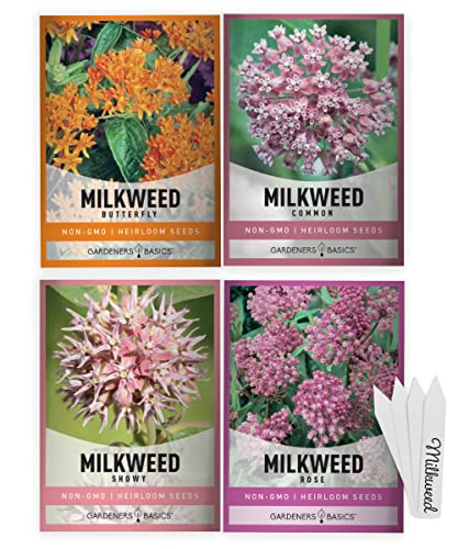 Showy Milkweed Seed Variety Pack for Monarch Butterflies