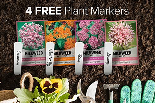 Showy Milkweed Seed Variety Pack for Monarch Butterflies