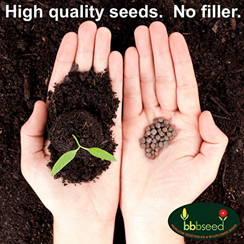 Monarch Butterfly Wildflower Seed Mix1oz