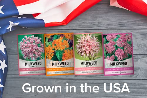 Showy Milkweed Seed Variety Pack for Monarch Butterflies