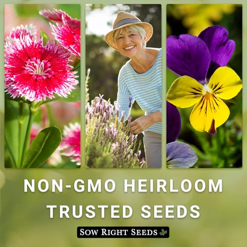 Butterfly Garden Seed Collection with Showy Milkweed