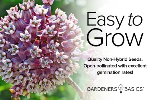 Showy Milkweed Seed Variety Pack for Monarch Butterflies