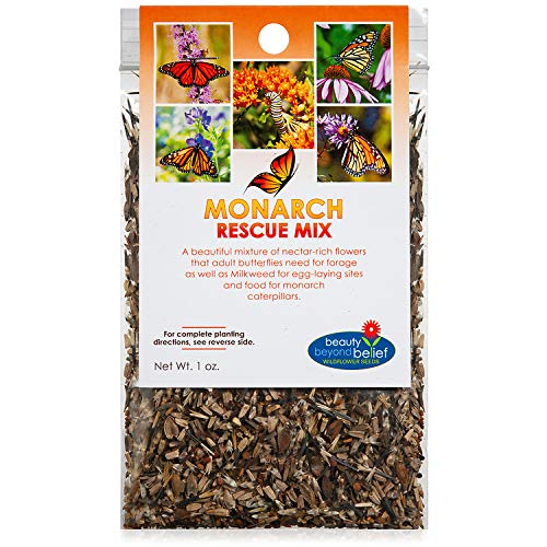 Monarch Butterfly Wildflower Seed Mix1oz