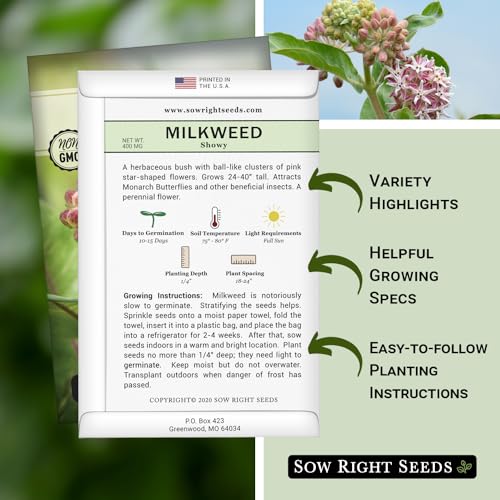 Showy Milkweed Seeds - Attract Monarch Butterflies - Non-GMO