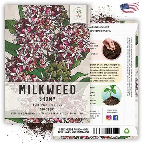 100 Showy Milkweed Seeds for Monarch Butterflies