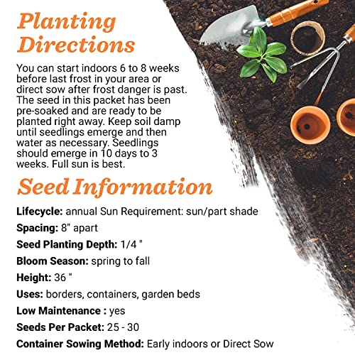 Bulk Pack of 25 Milkweed Seed Packets – Showy & Butterfly Mix