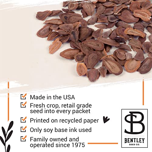 Bulk Pack of 25 Milkweed Seed Packets – Showy & Butterfly Mix
