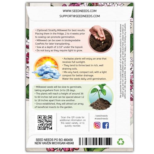 100 Pink Swamp Milkweed Seeds, Open Pollinated