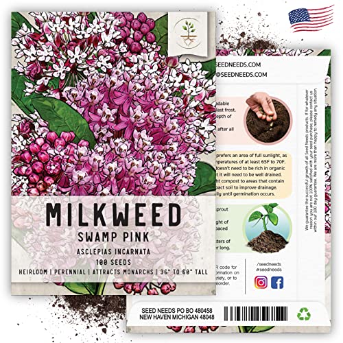 100 Pink Swamp Milkweed Seeds, Open Pollinated