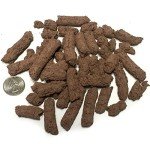 Showy Milkweed Seed Pellets for Guerrilla Gardening