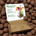 Showy Milkweed Seed Balls for Spring Planting