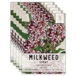 Showy Milkweed Seeds - 100 Heirloom Pack