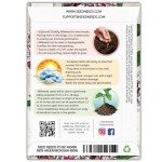 Showy Milkweed Seeds - 100 Heirloom Pack