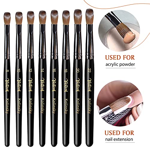 Kolinsky Acrylic Nail Brush Size 8 - Black Wood Handle