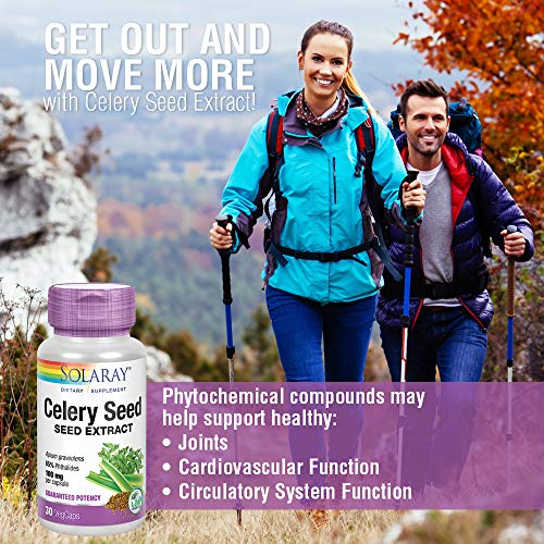 SOLARAY Celery Seed Extract Caps | Joint Health Support