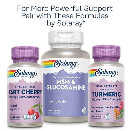 Solaray Celery Seed Capsules - 505mg, 100 count