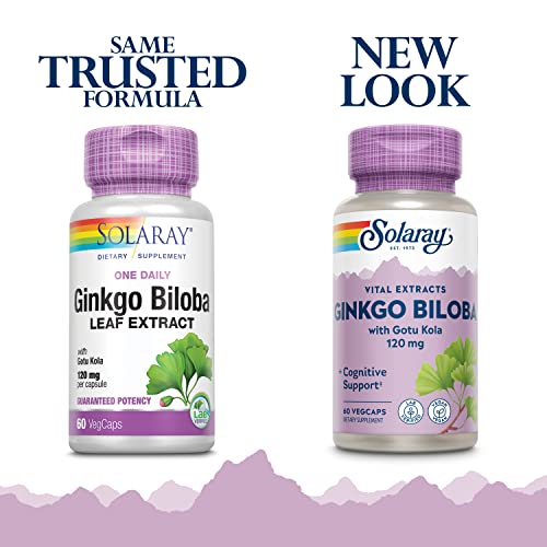 Solaray Ginkgo Biloba Leaf Extract | Supports Brain & Memory Health