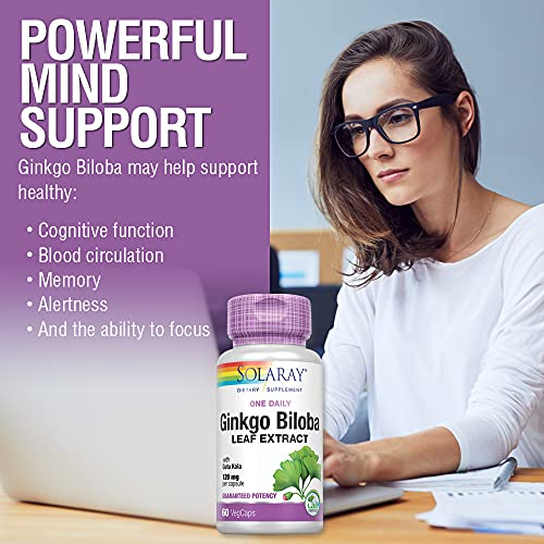 Solaray Ginkgo Biloba Leaf Extract | Supports Brain & Memory Health