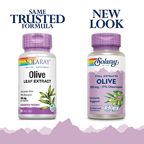 SOLARAY Olive Leaf Extract Supplement, 250mg | 60 Tabs