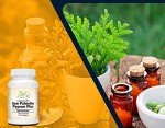Saw Palmetto & Pygeum Prostate Support Supplement