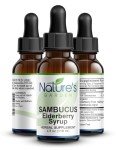 Nature's Garden Sambucus Elderberry Syrup, 4 oz