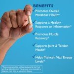 Excellacor-450 Enzymes for Joint & Inflammation Support