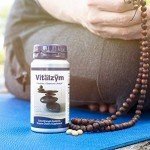 VITÄLZYM Systemic Enzymes for Joint and Immune Support