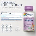 SOLARAY Turmeric Root Extract 570 mg - 95% Curcumin