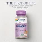 SOLARAY Turmeric Root Extract 570 mg - 95% Curcumin