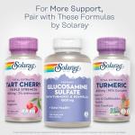 SOLARAY Turmeric Root Extract 570 mg - 95% Curcumin