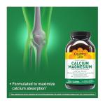 Country Life Target-Mins Calcium Magnesium with Vitamin D-Complex