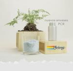 SOLARAY Saw Palmetto Berry Extract, 60 CT - Organic