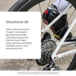 Thorne Glutathione-SR: Antioxidant Support Supplement - 60 Capsules