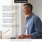 Thorne Stress B-Complex: Highly-Absorbable Formula for Stress and Immunity